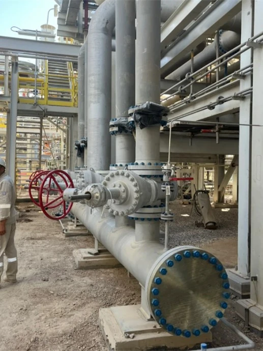 Petrochemical Production Facilities Petrochemical Production Facilities